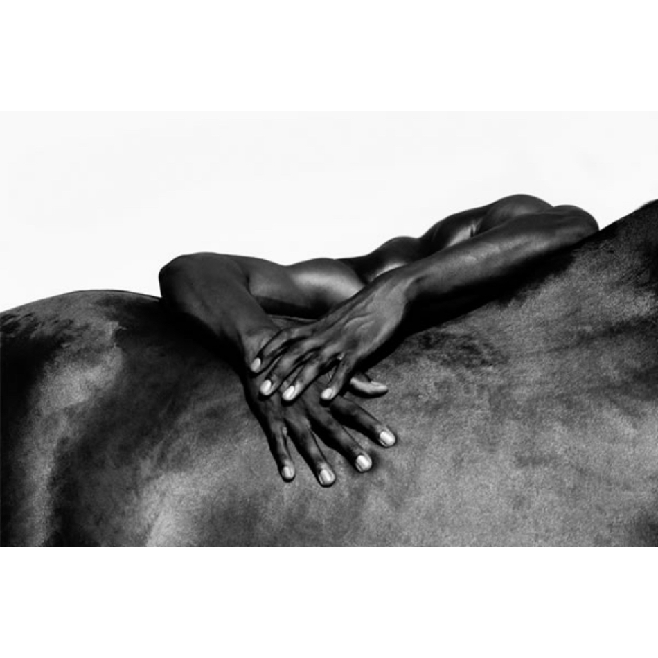 Laurent Elie Badessi - Hands And Horse