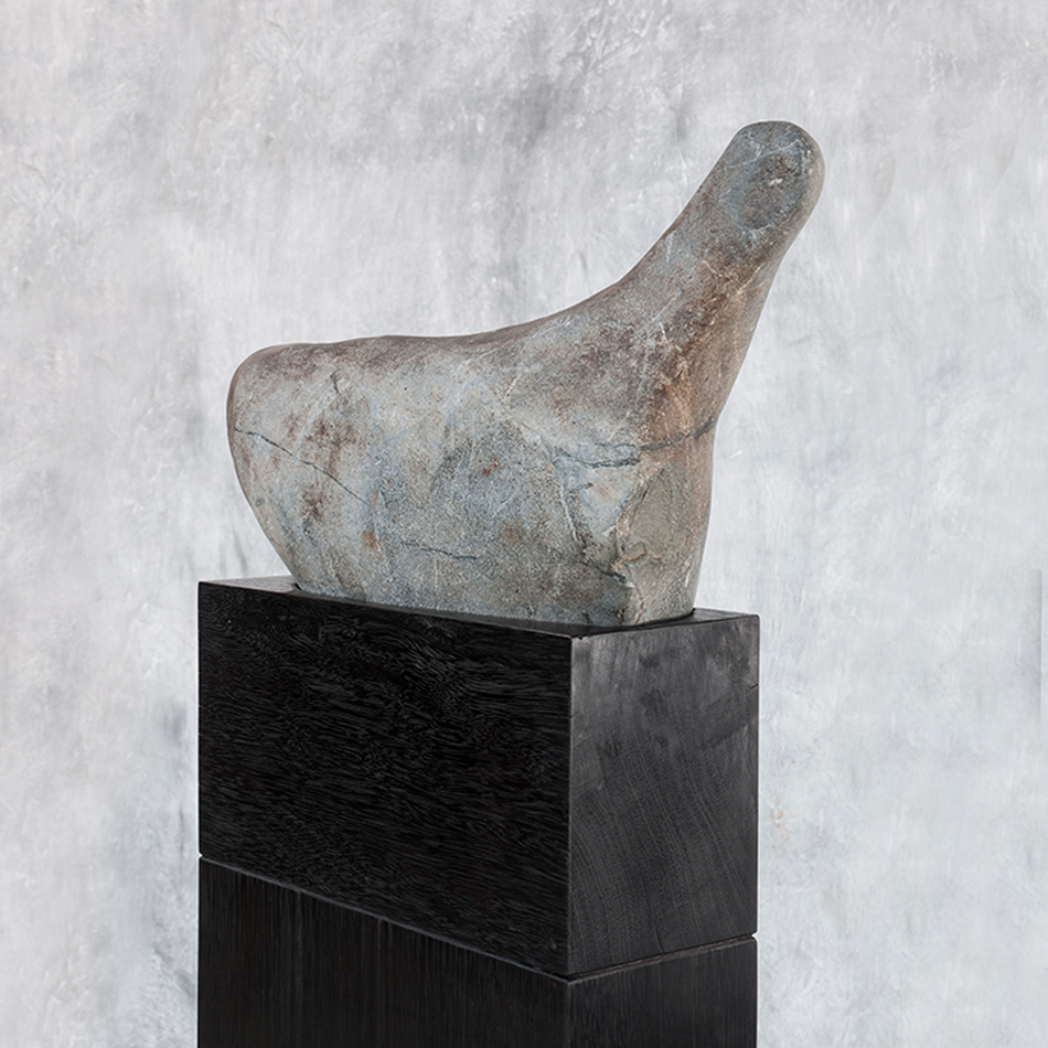 Jerome Abel Seguin M Laying Hen D2 1