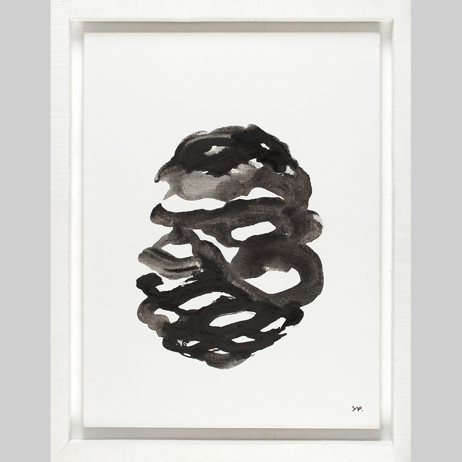 Medium RP SF Sequioa Seed Cone 2 M