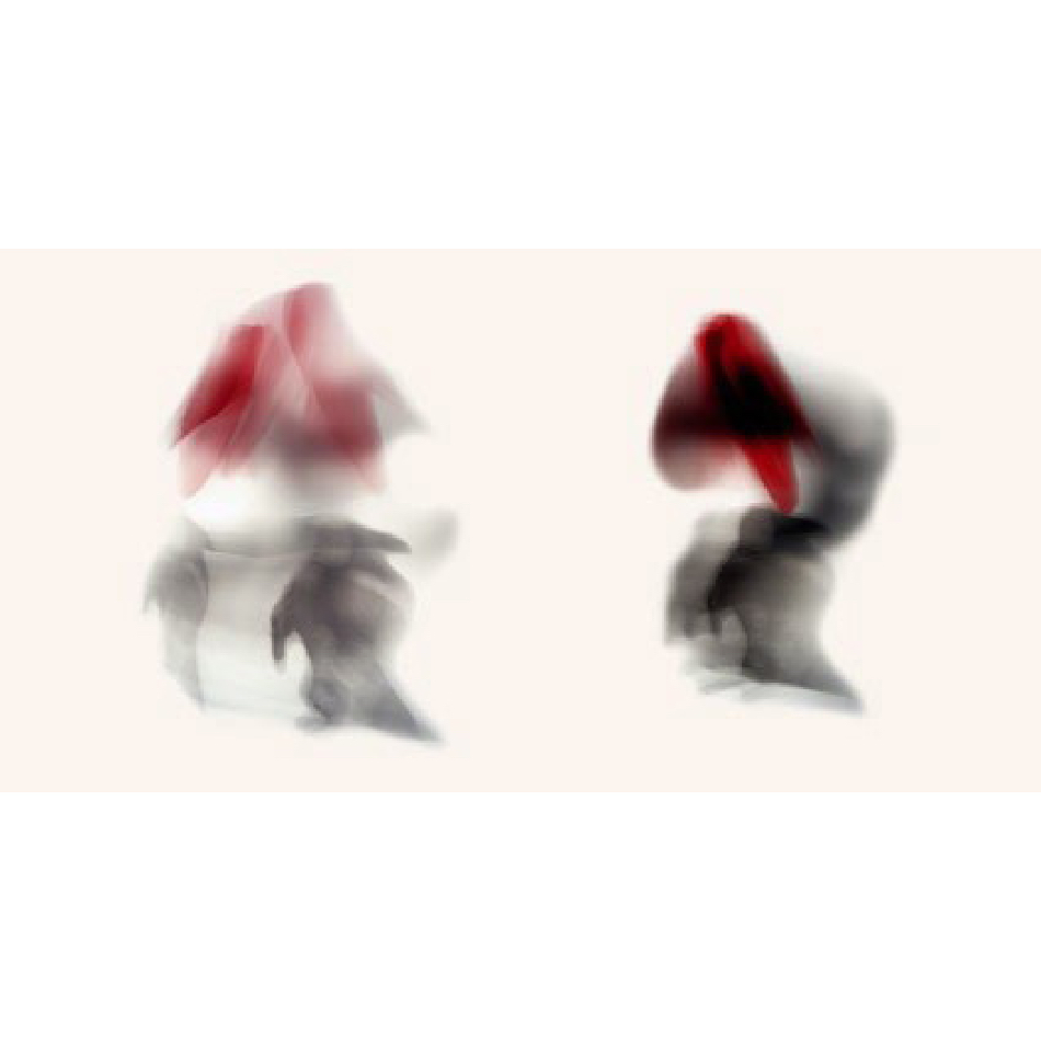 Medium Mg FineartM 37