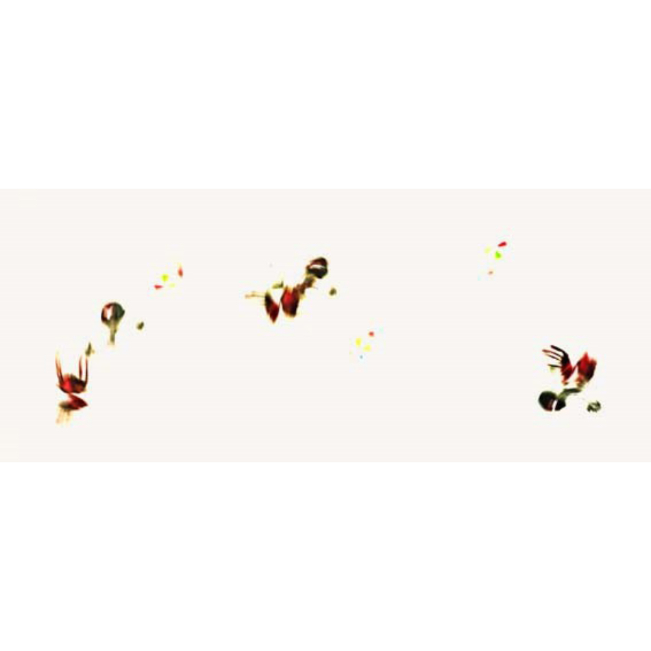 Medium Mg FineartM 42