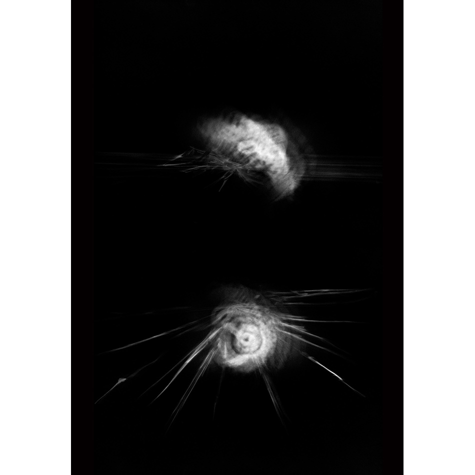 Medium Mg Fineart 15