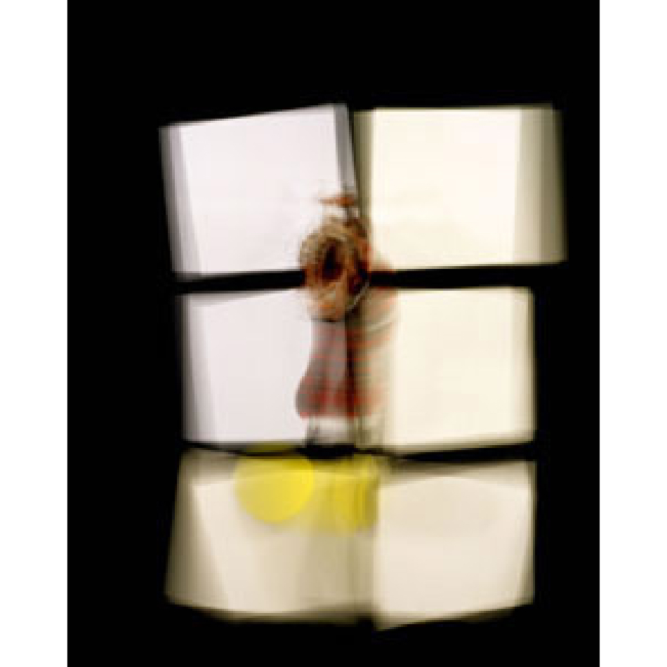 Medium Mg Fineart 18