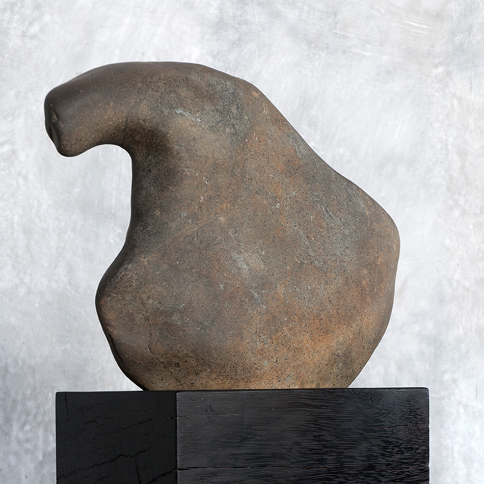 Medium Jerome Abel Seguin AcM Bird