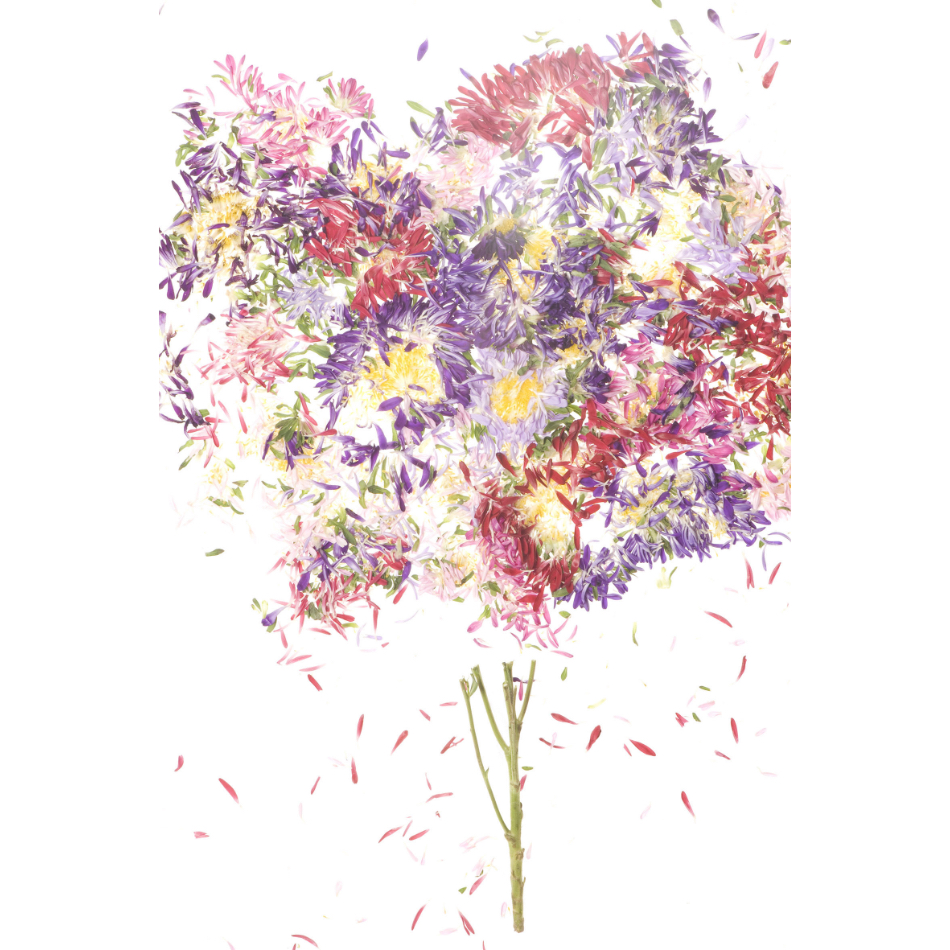 Medium M Ps Fineart 29