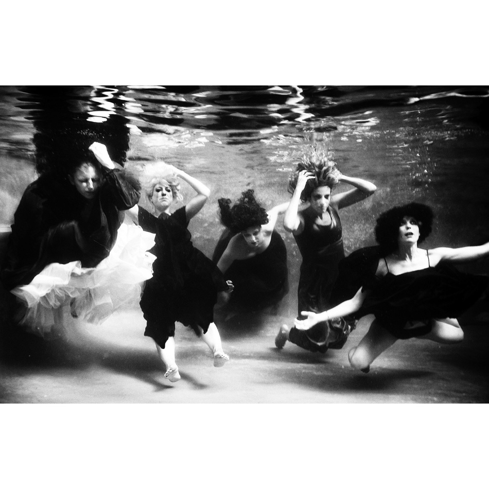 Medium Medium 2 MS Coll Divided We Fall