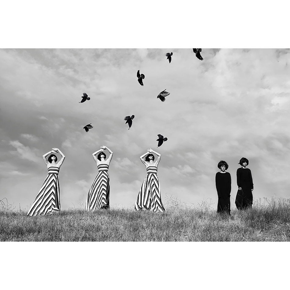 Medium Medium 5 MS Coll Fly