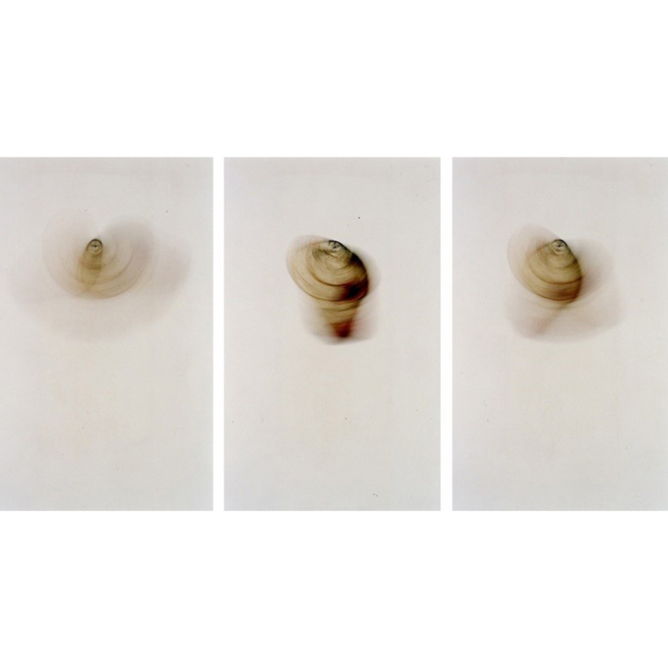 Medium Mg FineartM 32