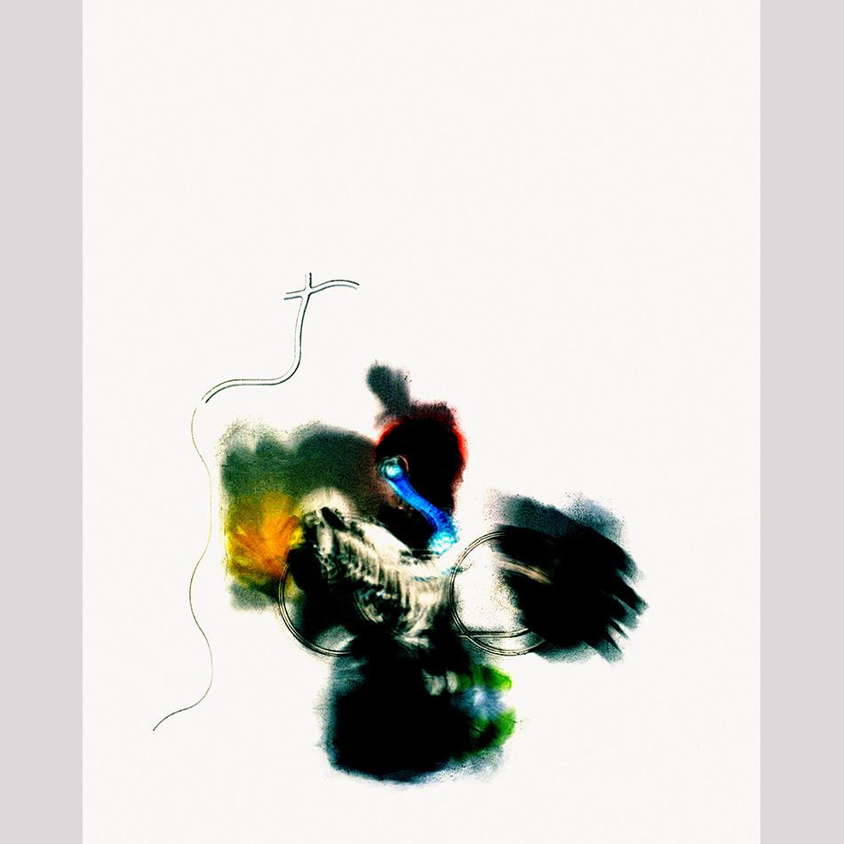 Medium Mg Fineart 14