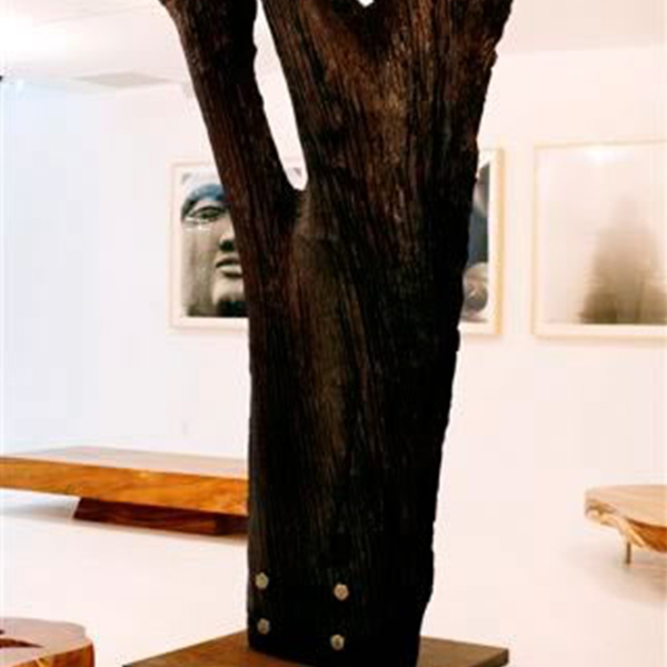 Gallery Nine March 2007 17