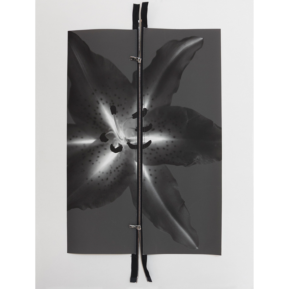 Paul Solberg Black Star