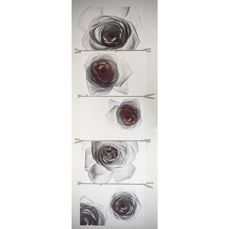 Paul Solberg Bucha Boquet