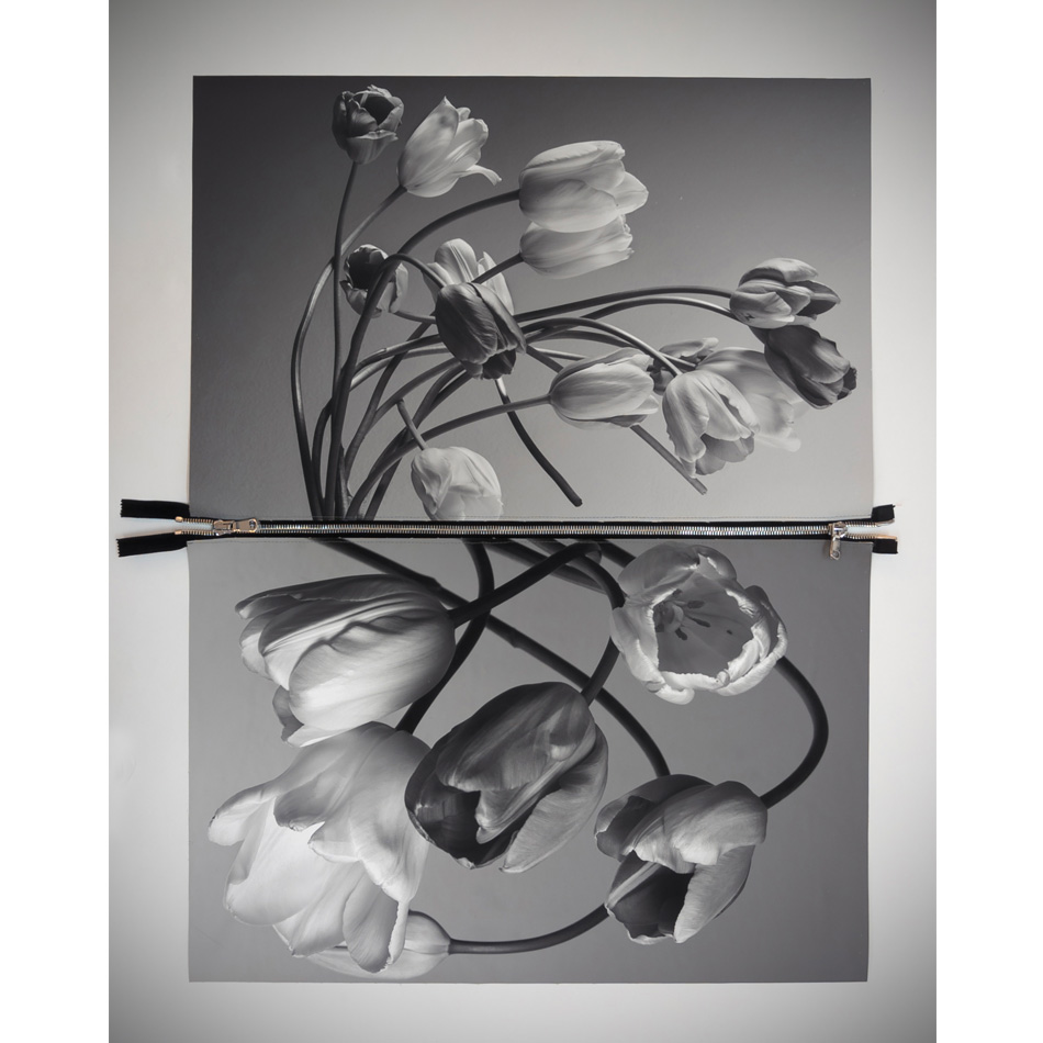 Paul Solberg Connection