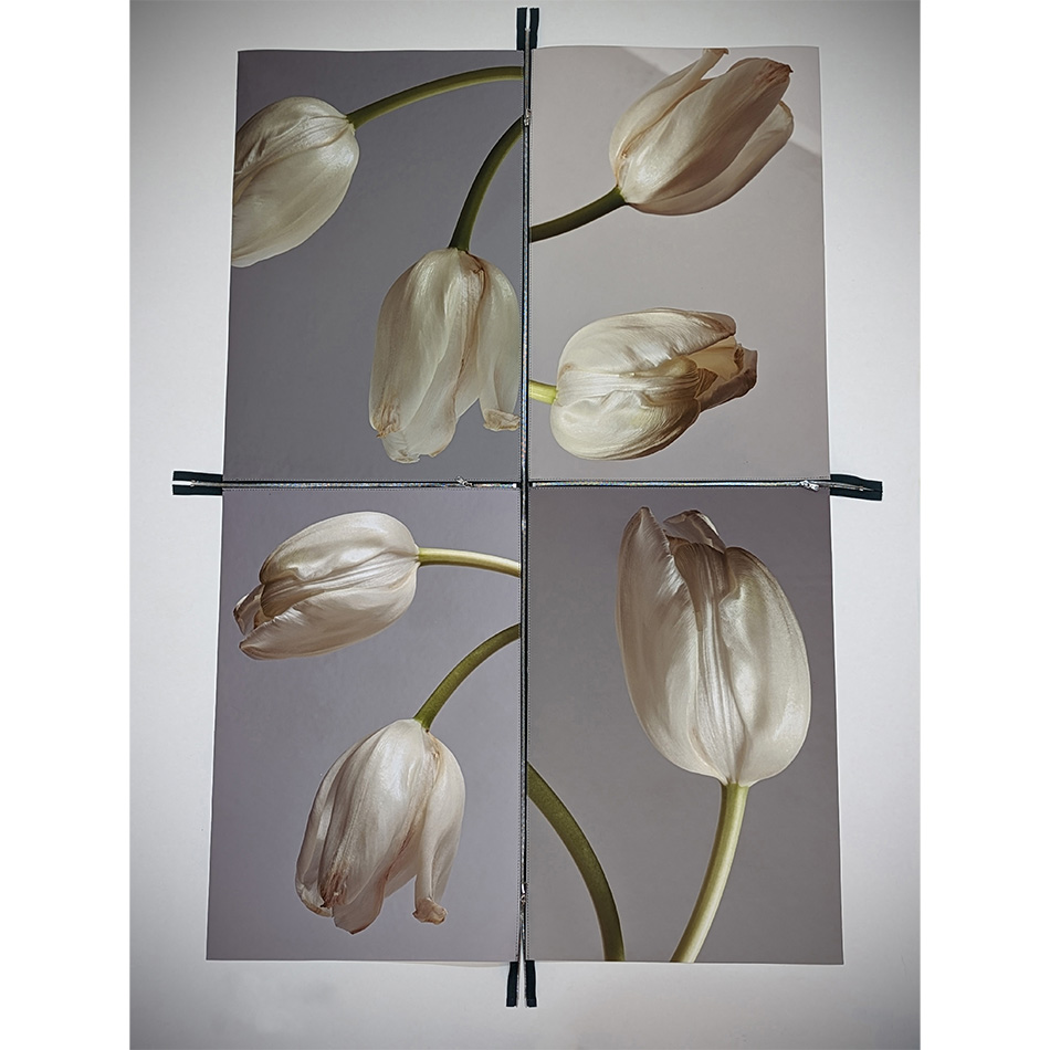 Paul Solberg Liberte