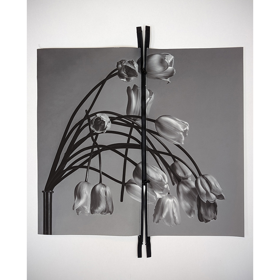 Paul Solberg Philippe Piccolo