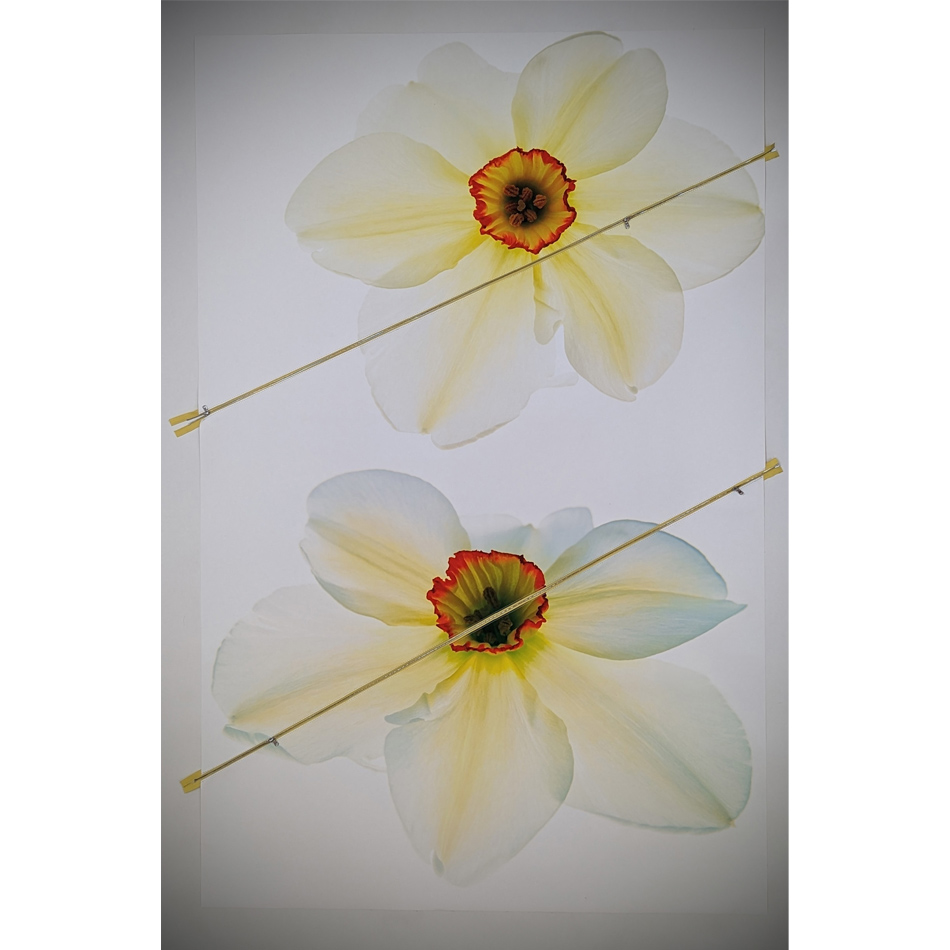 Paul Solberg Prince Of Europe