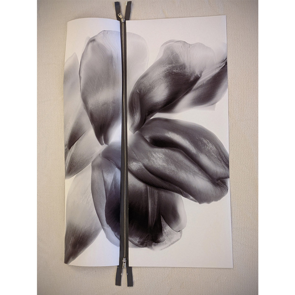 Paul Solberg Study 602 Piccolo