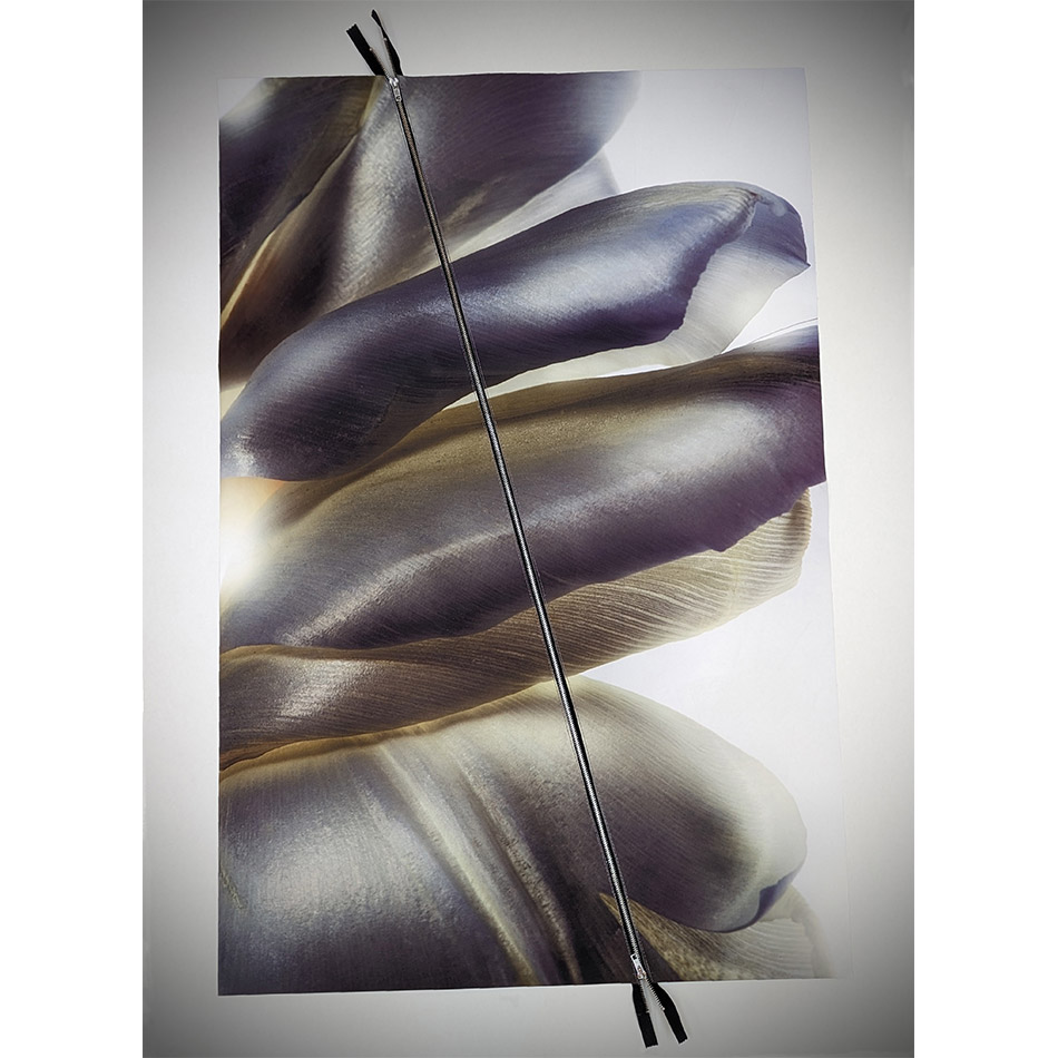 Paul Solberg Study 619 Steel