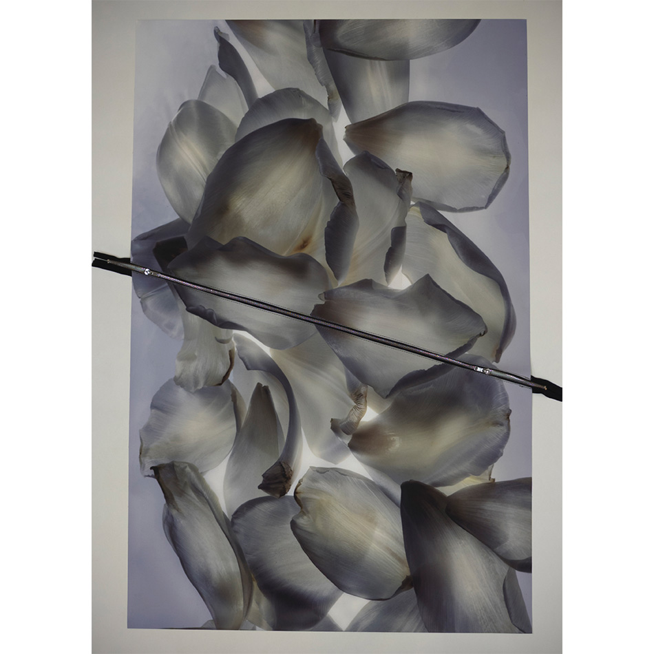 Paul Solberg Study 756 Steel