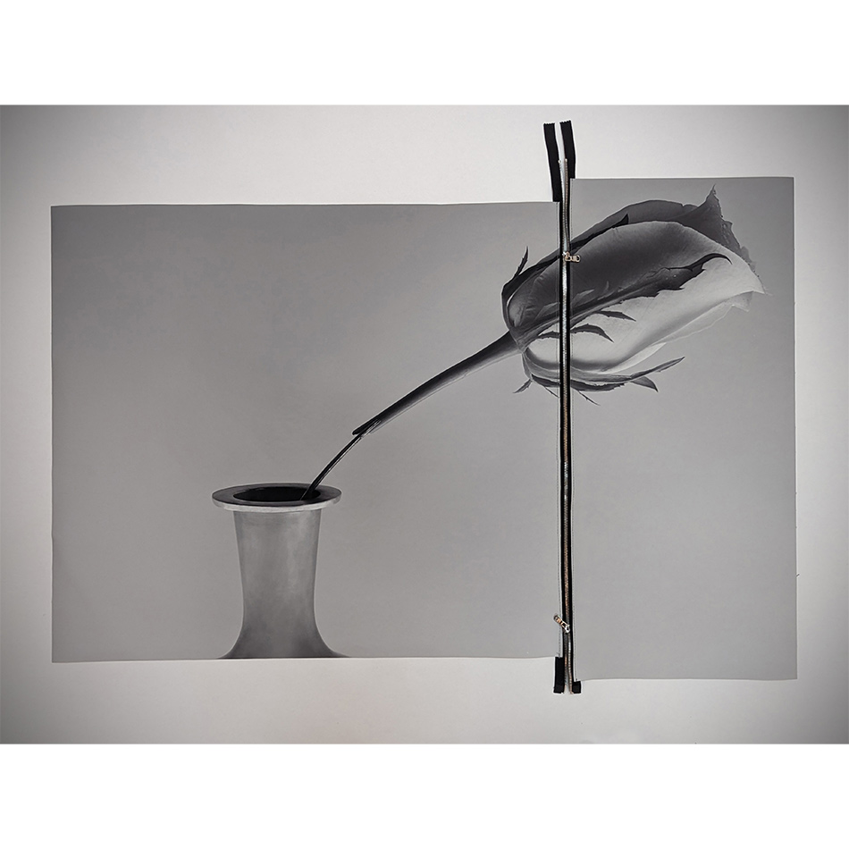 Paul Solberg True Story