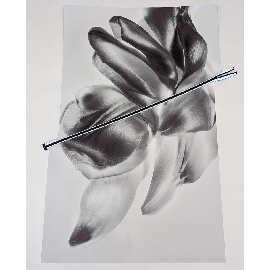 Paul Solberg Veloce 616