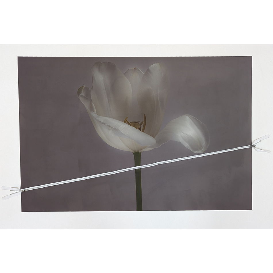 Paul Solberg White Moon