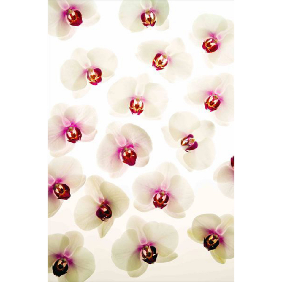 Medium Ps Fineart 22