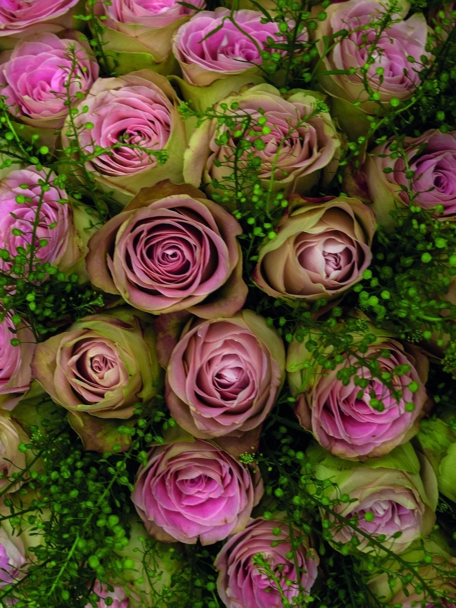 TYIP PRESS PHOTO SELECTION 16 1 2000x