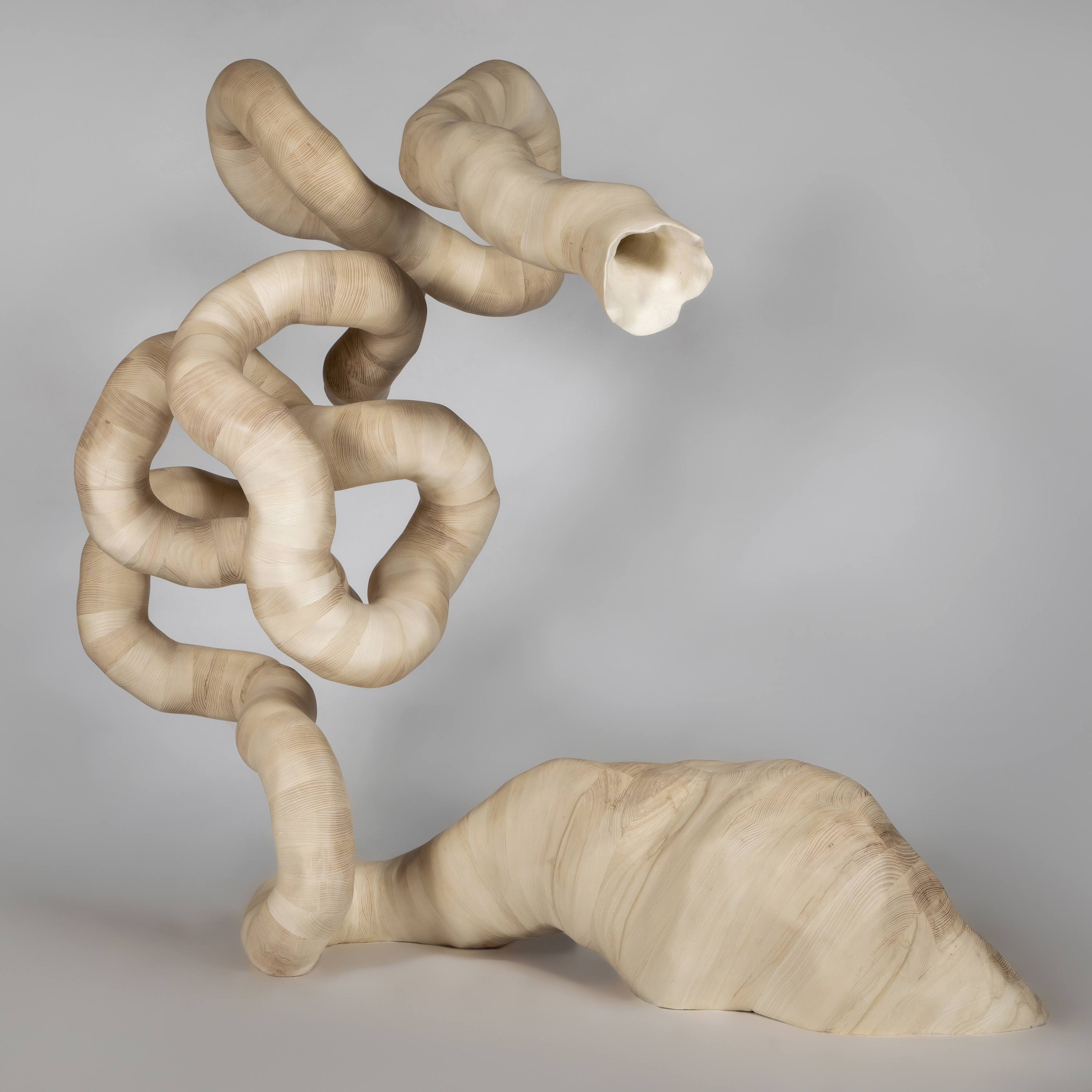 IMG 4905 RT (1) Copy