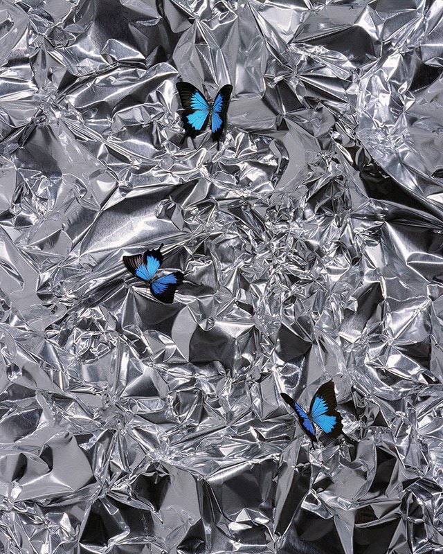 F_0023_Innocence 2-V2, Silver Edition