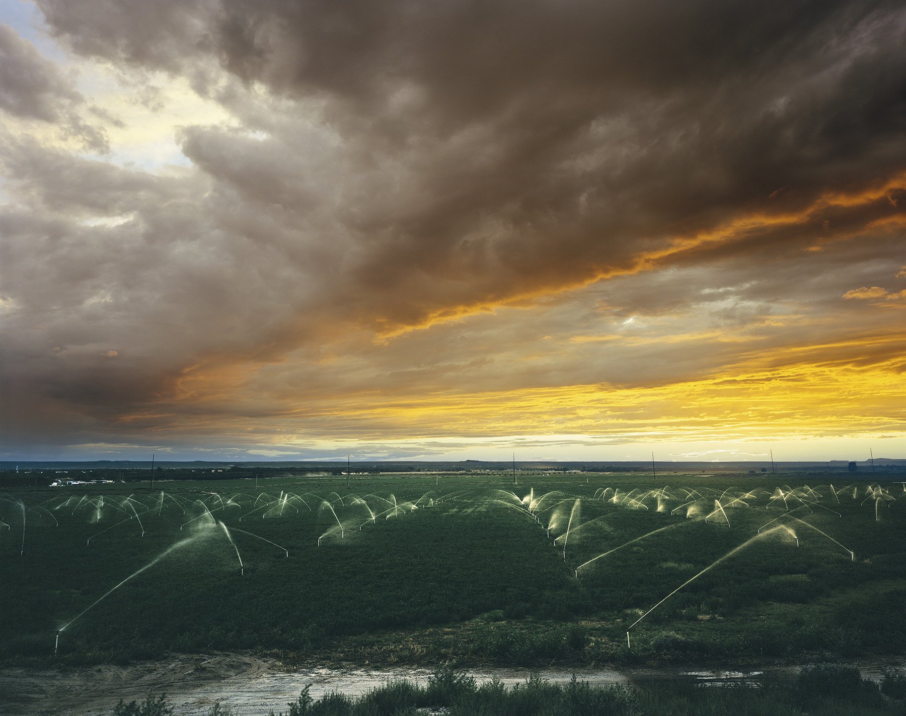 Fs Sprink Sunset Resize