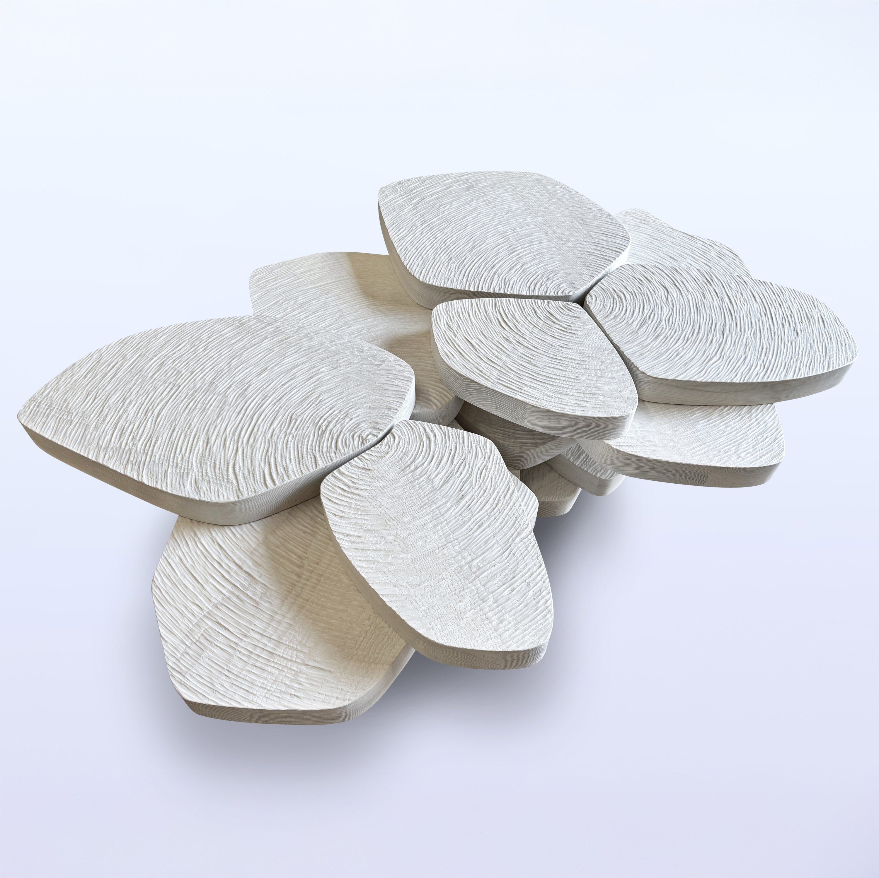 Photo Aug 06 2024, 4 01 39 PM