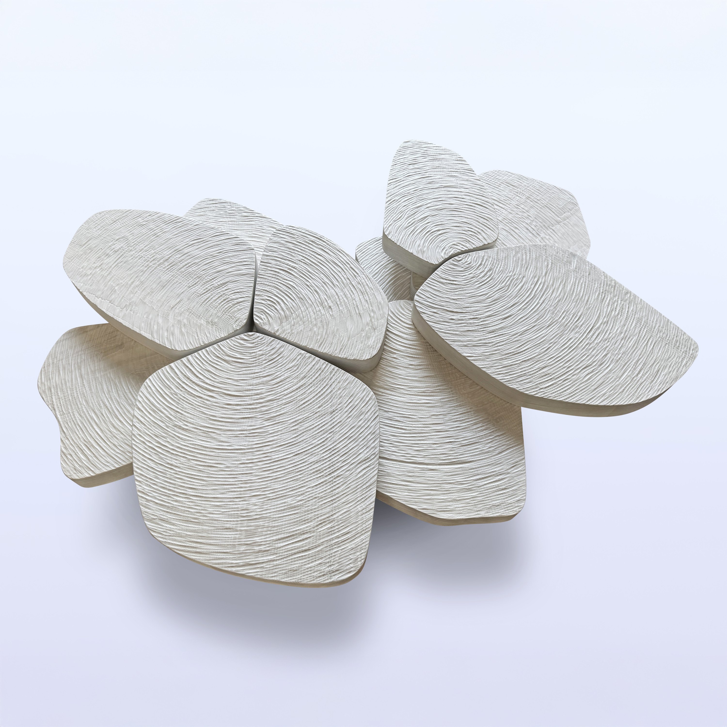 Photo Aug 06 2024, 4 05 15 PM