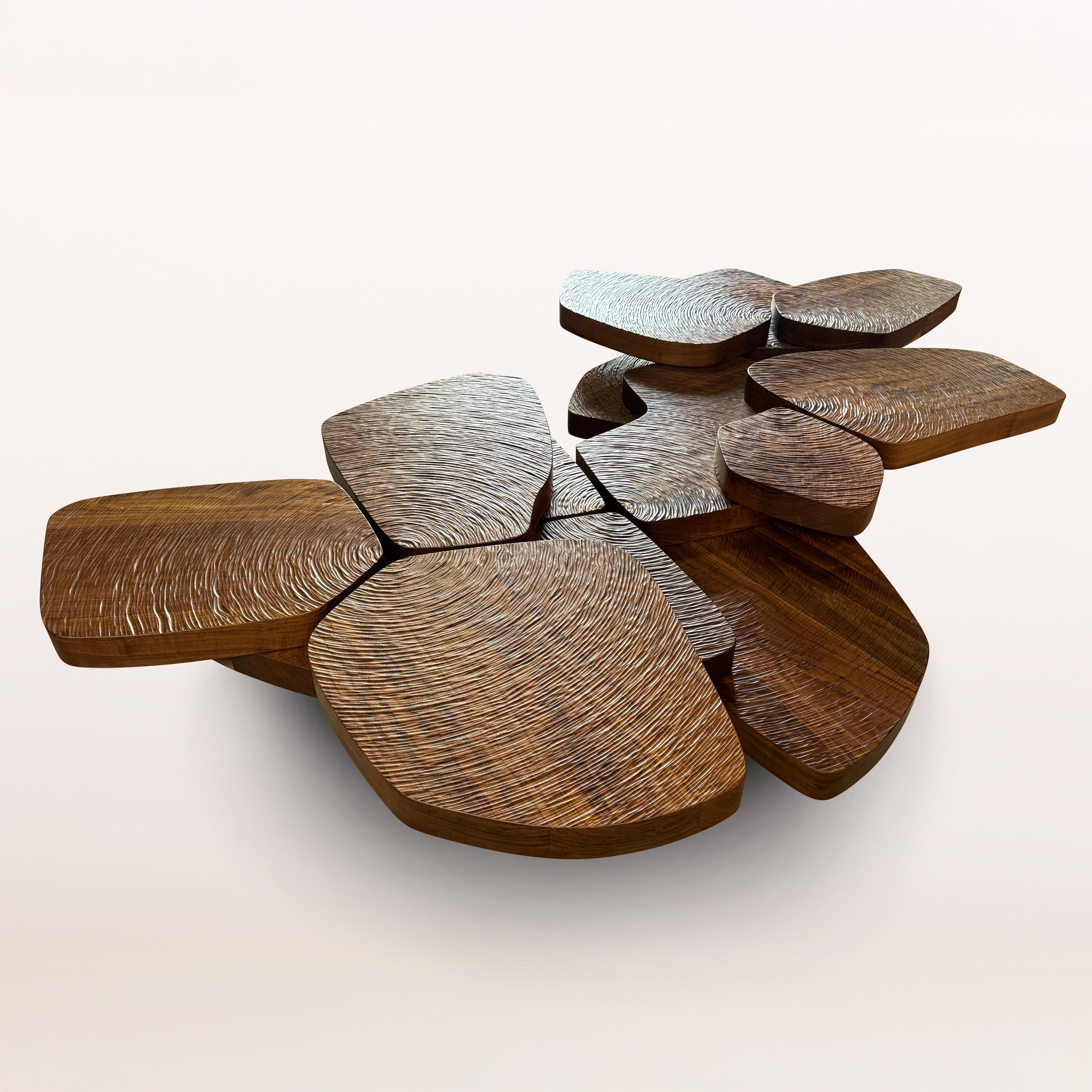 Photo Nov 15 2024, 1 19 31 PM