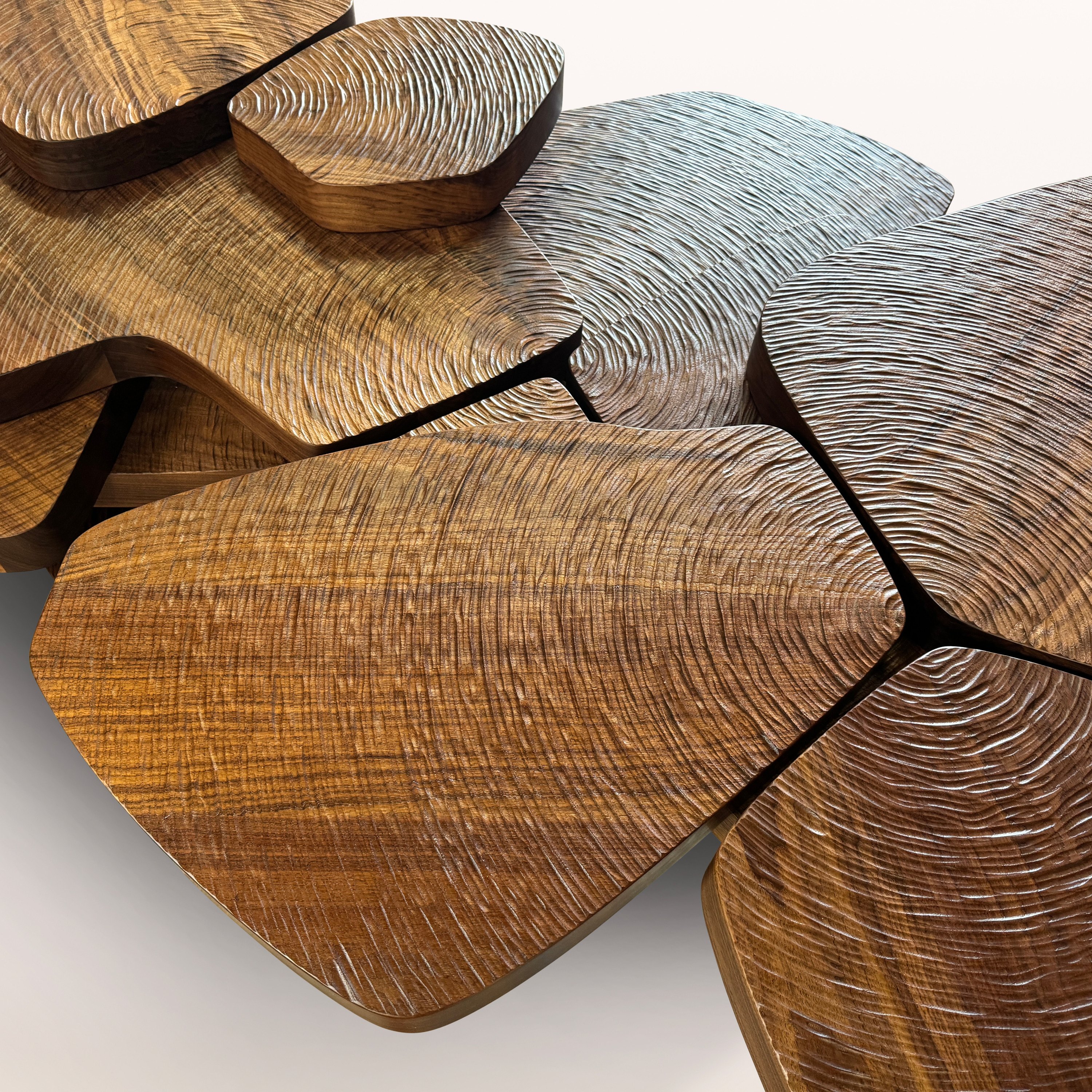 Photo Nov 15 2024, 1 24 39 PM