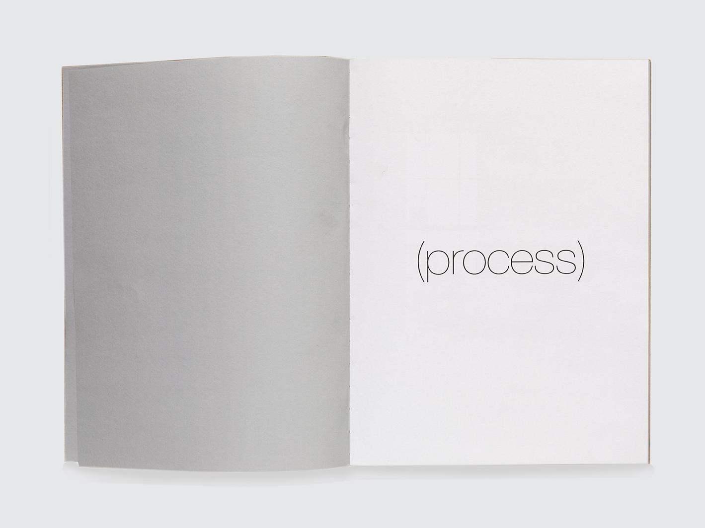 Pucci Process 0002 Copy