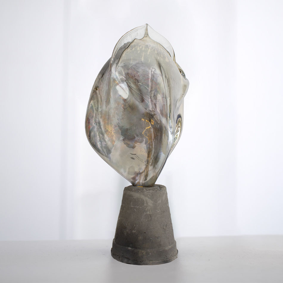 950_Lechuguilla resize