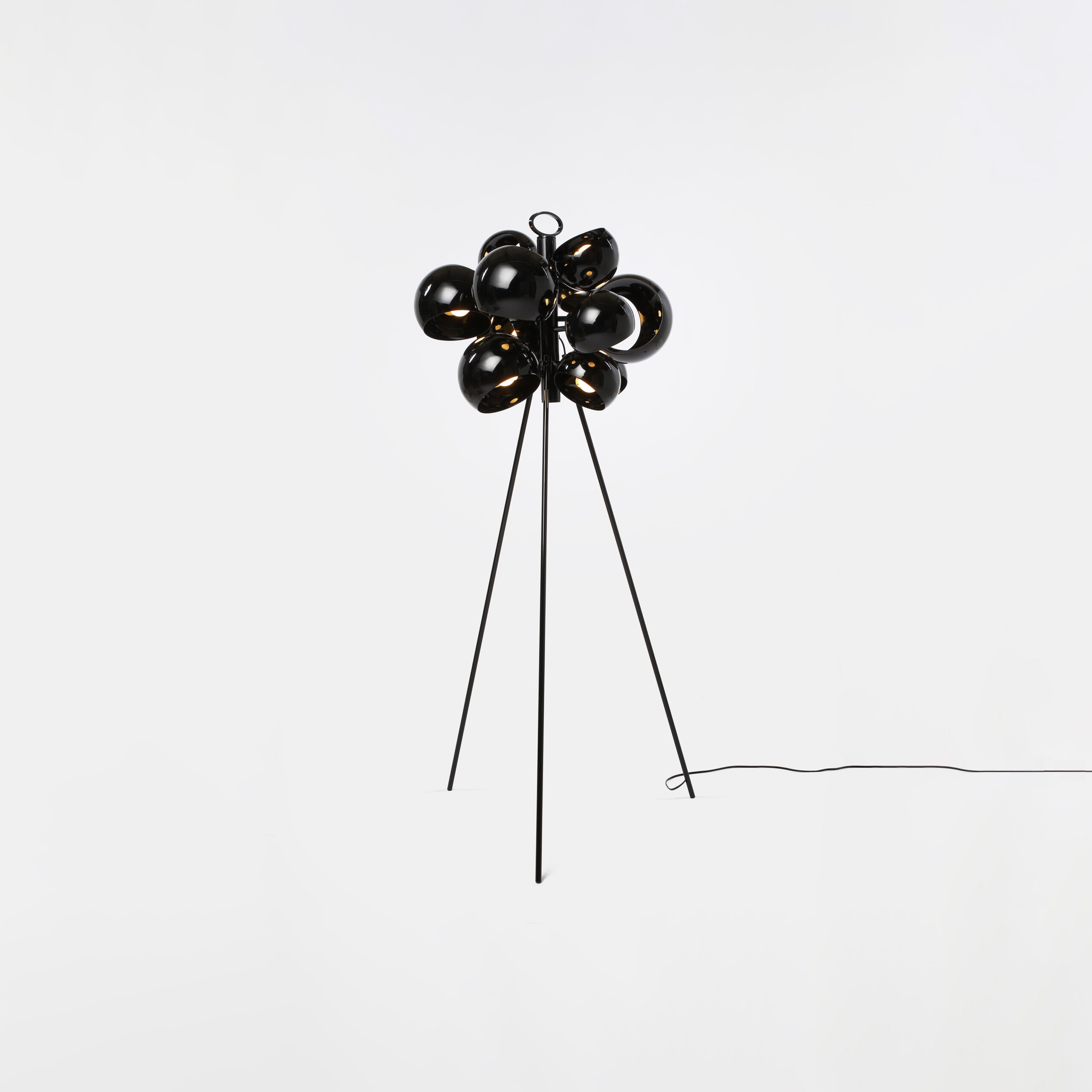 DW Kopra Burst 433 1 316 Kopra Standing