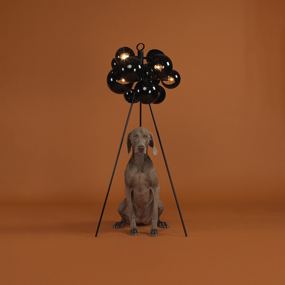DW Kopra Standing 316 5 316 Kopra Standing By William Wegman