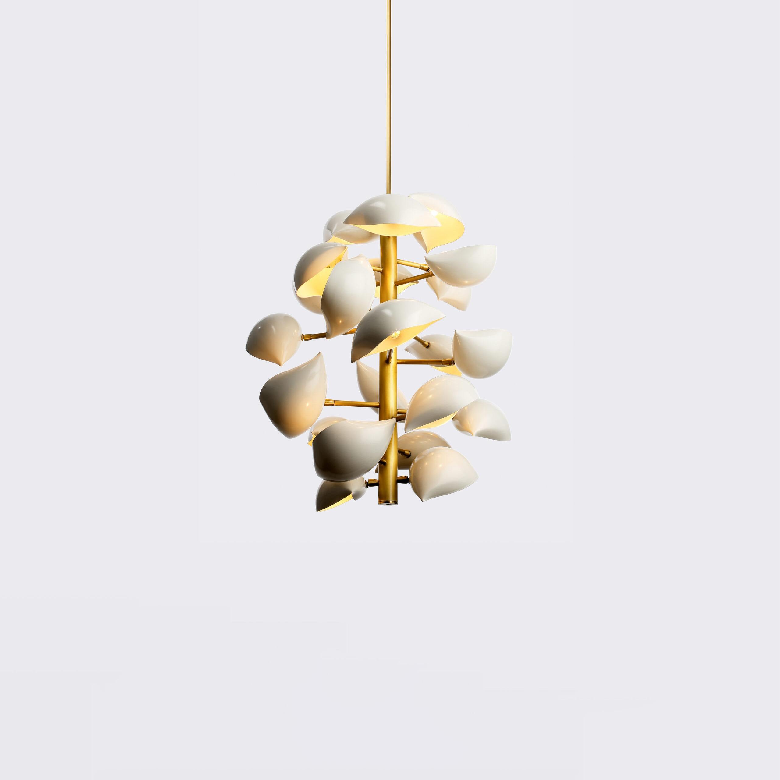 DW Lapa Pendant 436 2 436 Lapa On Scaled
