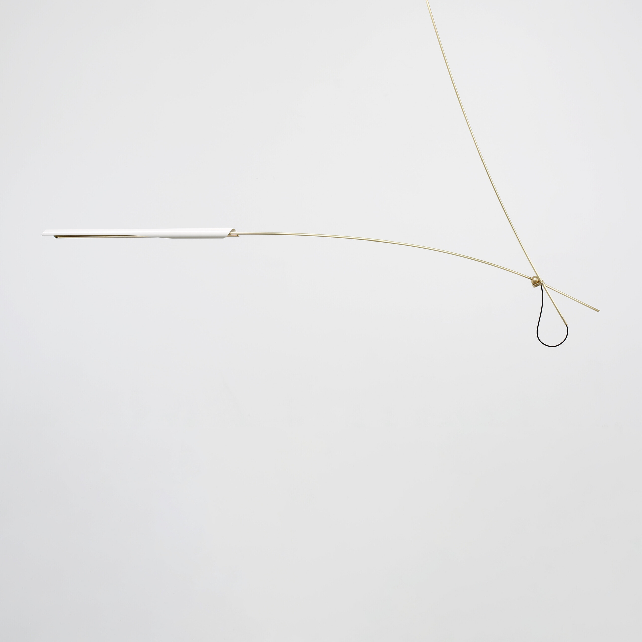 DW Otto Loop 438 034 OTTO One Arm Crop
