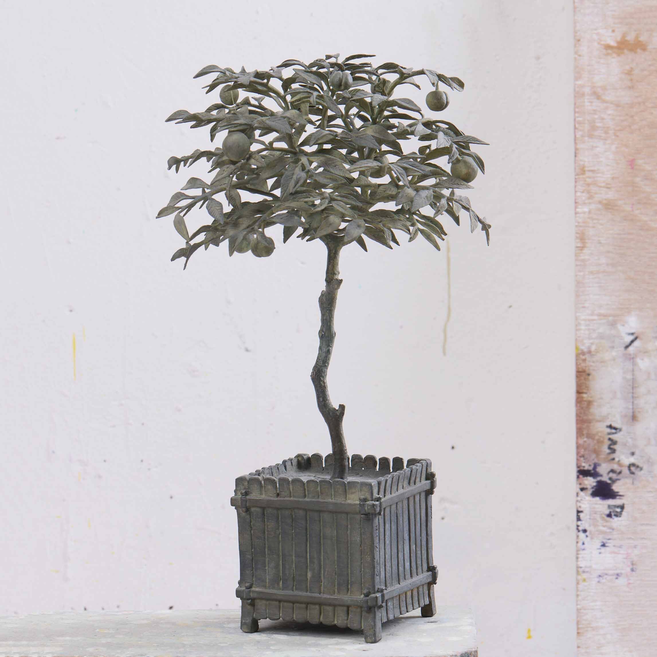 Louis Cane Miniature Peach Tree